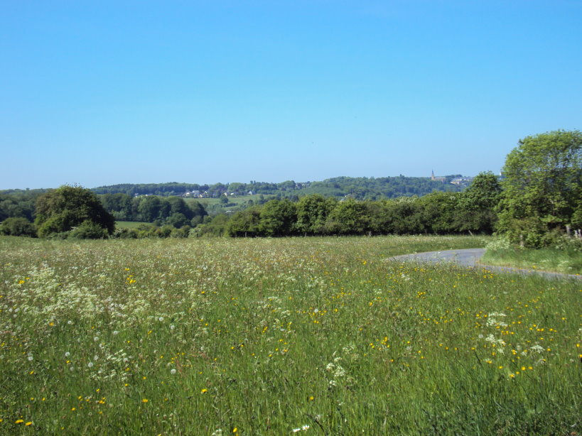 mouzon entre meuse et chier1971.jpg